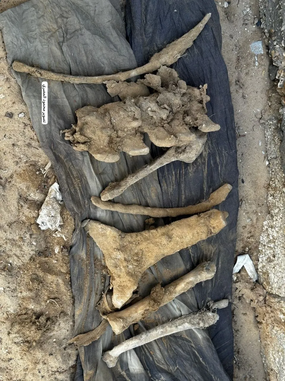 Hallados los cuerpos en descomposición de dos mártires, un hombre y un niño, en la tierra de Shaat, cerca de la rotonda Al-Najjar, en el centro de Khan Younis. — Imagen 1