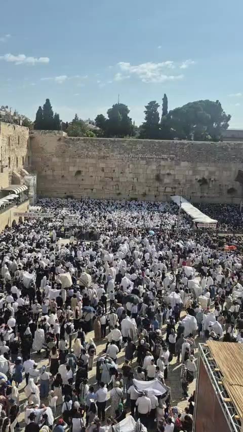 Settlers continue to perform Talmudic rituals and prayers in the Al-Buraq Wall plaza west of the blessed Al-Aqsa Mosque