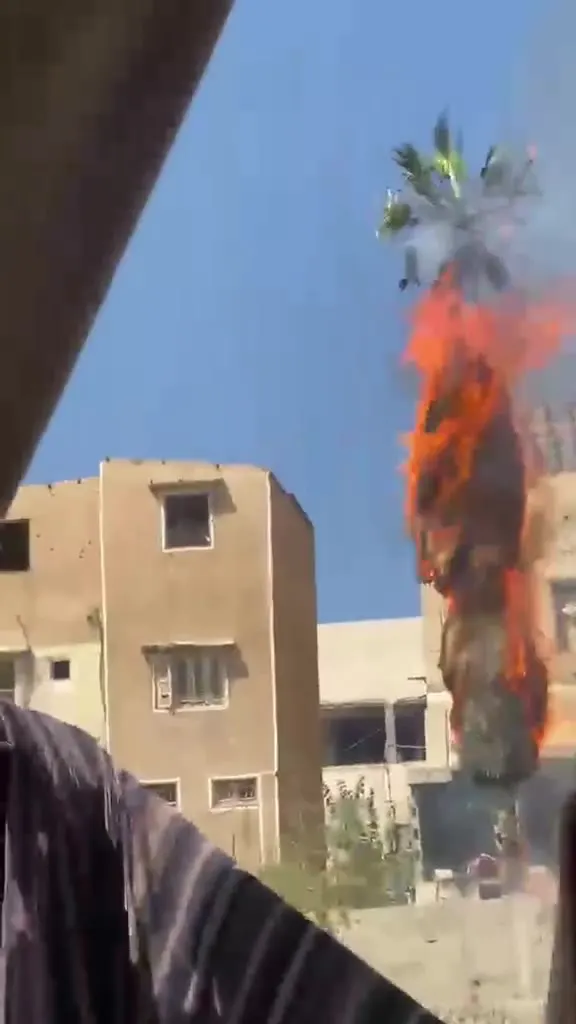 Door kogels van de bezetting brak brand uit in palmbomen rond een van de huizen in de oude stad ten oosten van Gaza-stad, voordat deze kon worden onder controle gebracht en geblust.